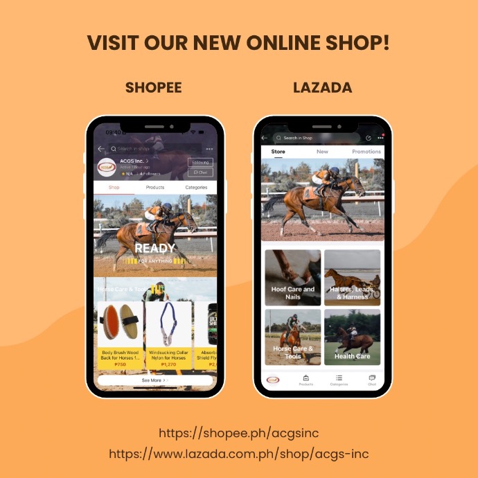 ACGS Inc. Shopee & Lazada ACGS Inc. Shopee & Lazada