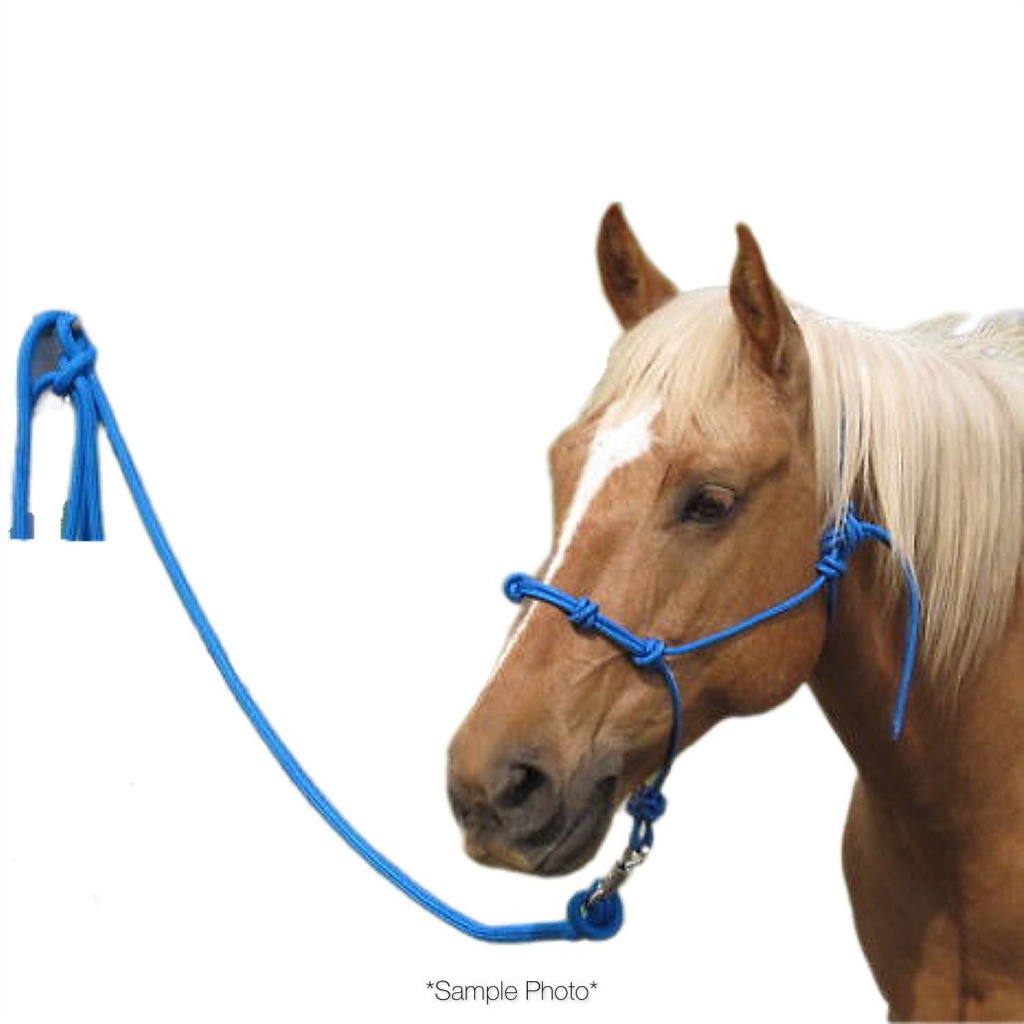 Lead Rope with Chain Blue pcs