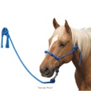 Lead Rope with Chain Blue pcs
