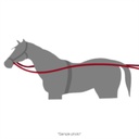Renda / Reins pcs