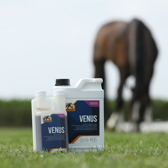 Venus